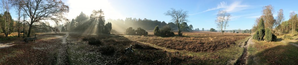 Ein Blick in die wundervolle Landschaft der lüneburger Heide