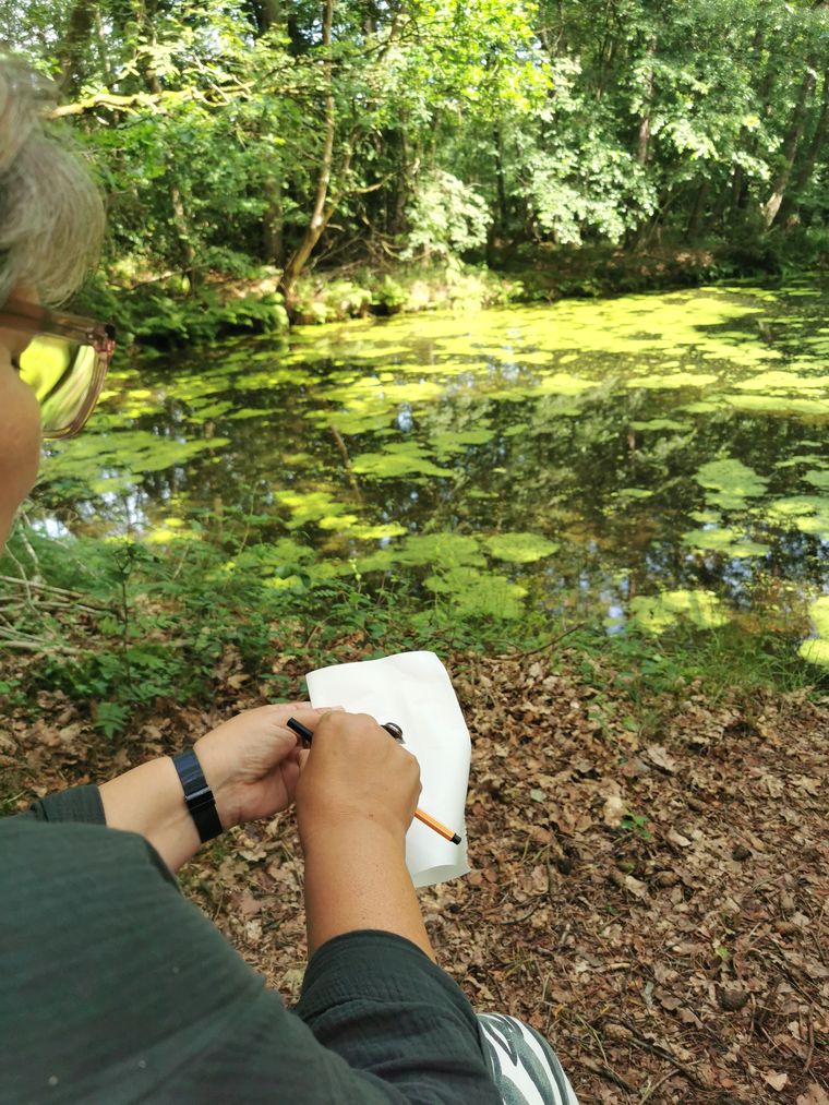 Skizzieren am Teich in der Natur