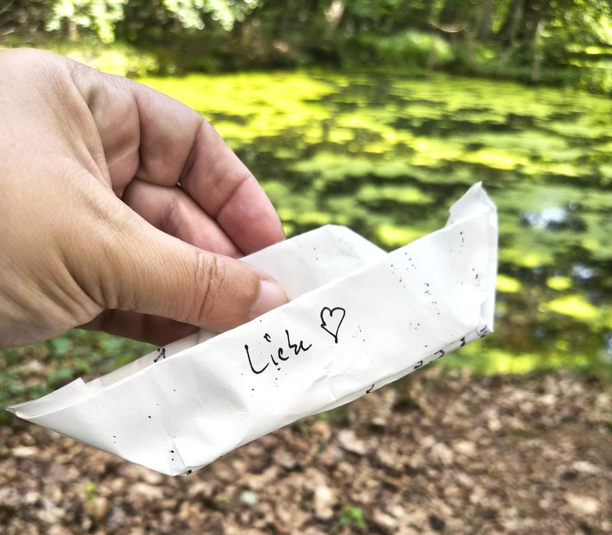 Hand hält ein gefaltetes Papierboot mit der Aufschrift Liebe
